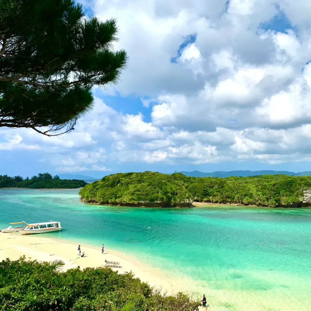 7/8～7/9八重山シニアサマーカップ無事終了しました。