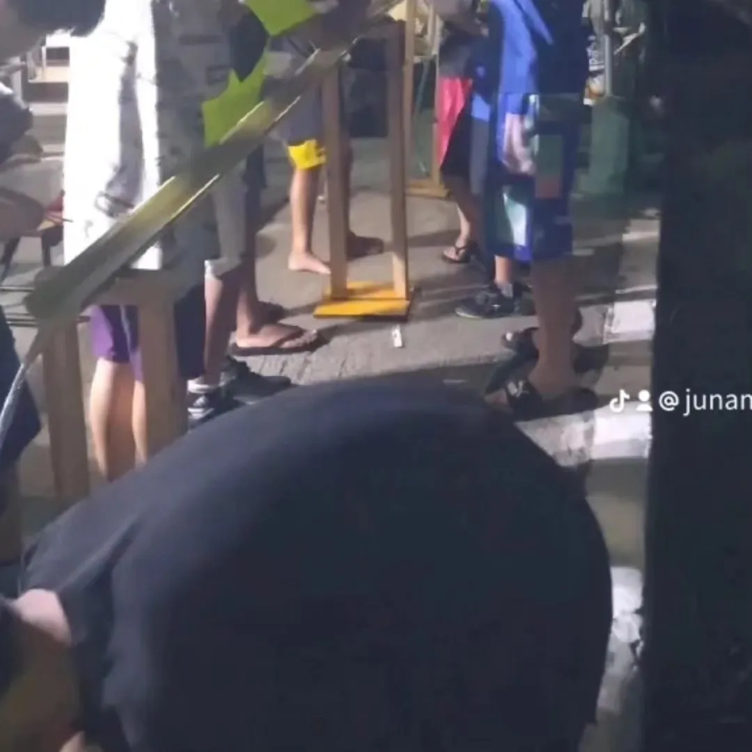 8月11日(日)～12日(月)