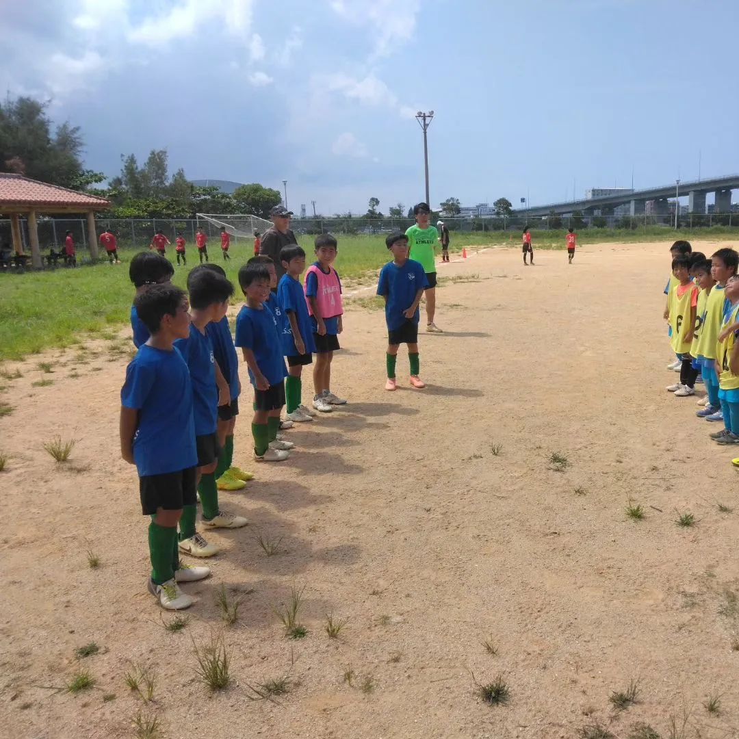 8月11日(日)～12日(月)