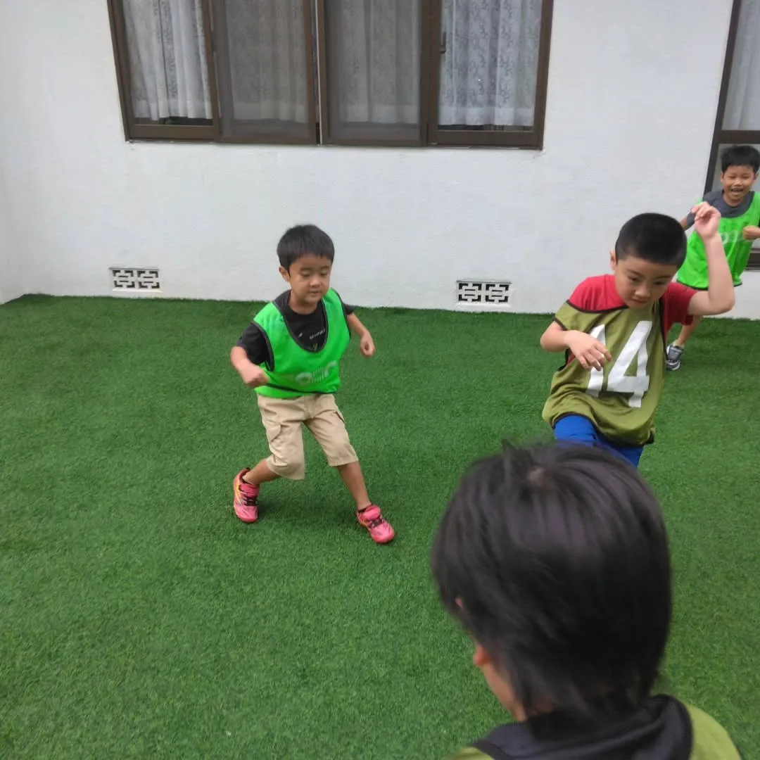 7月29日 最新情報