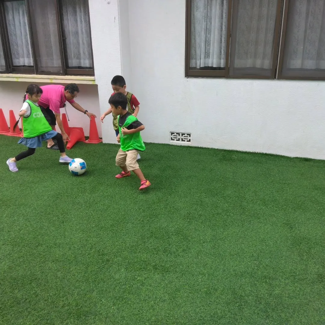 7月29日 最新情報