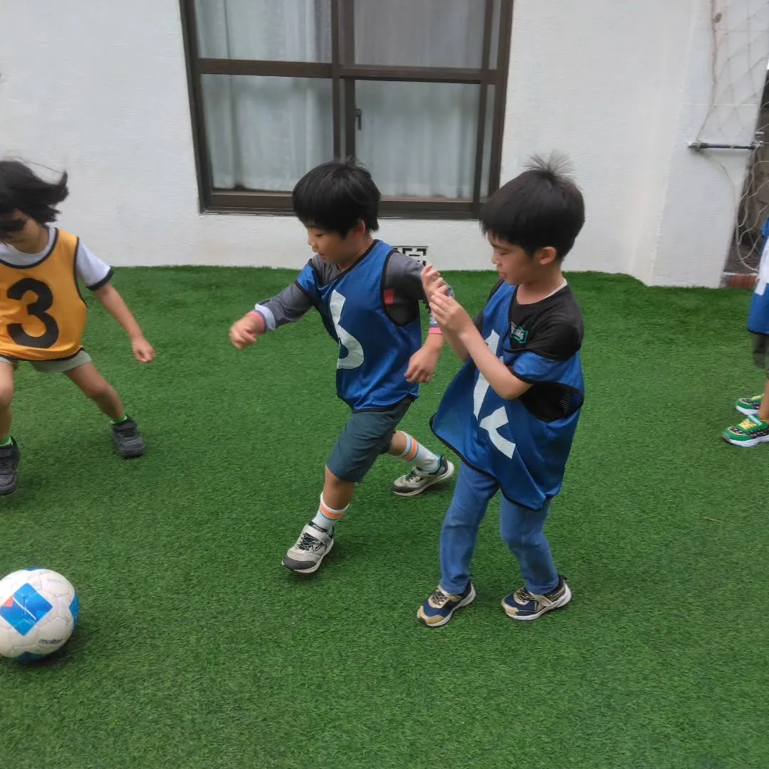 7月29日 最新情報