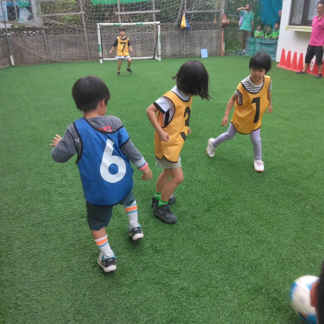 7月29日 最新情報